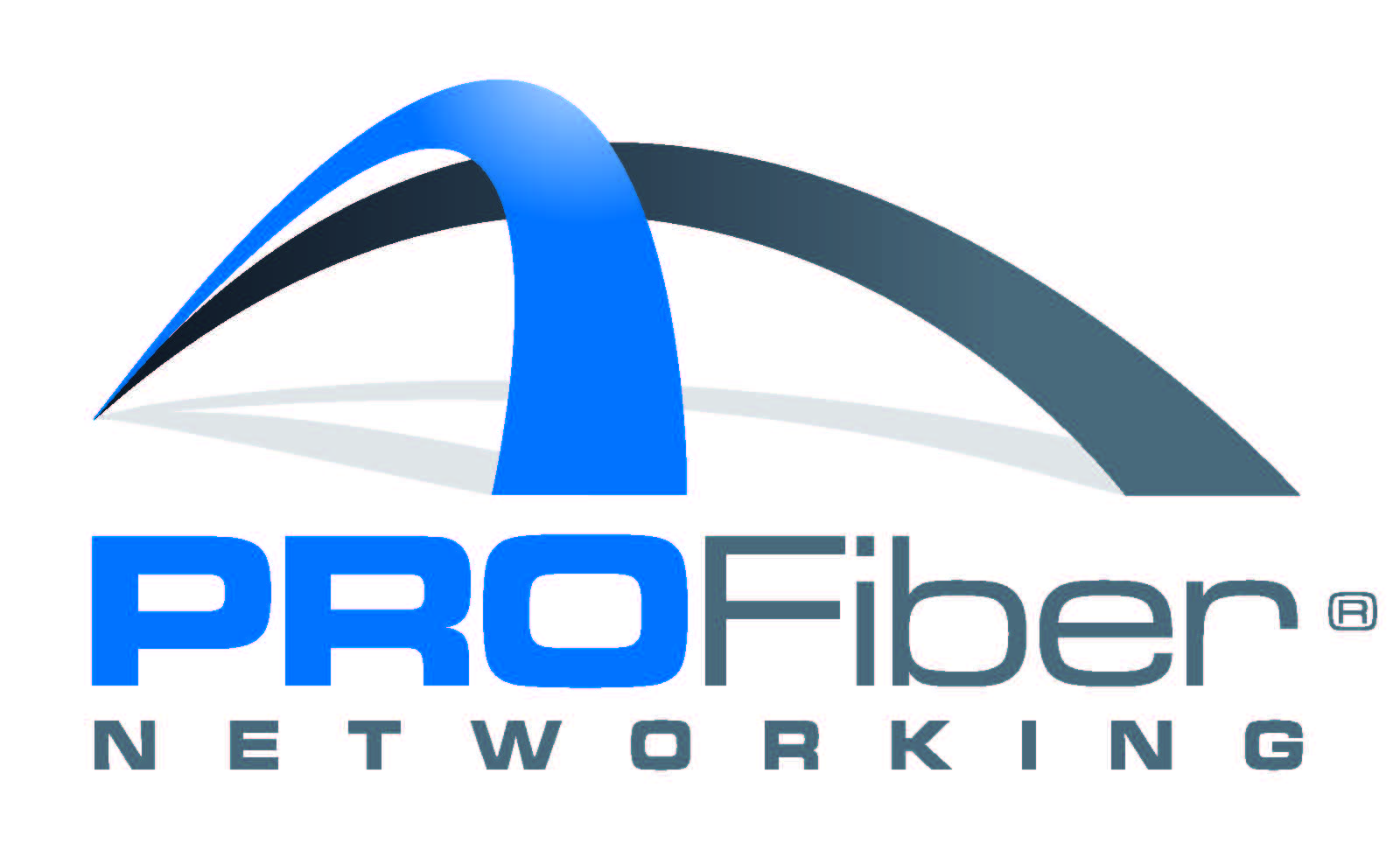 Pro fiber logo v krivkach Pro fiber logo v krivkach